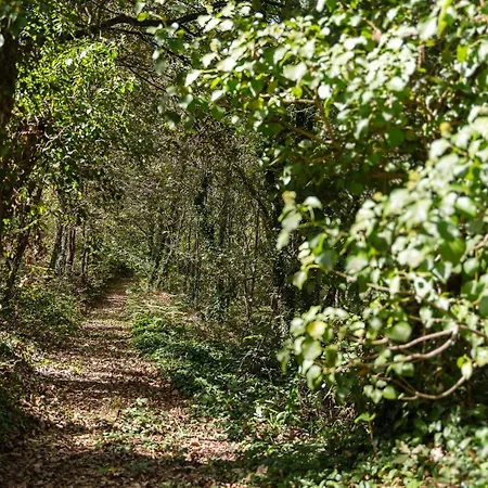 Casa De - Private With Outdoor And River View Only 25 Minutes Away From Oporto Medas