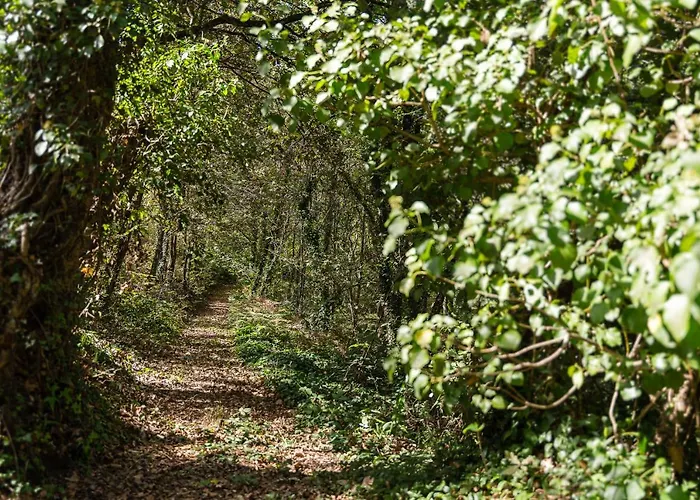 Casa De - Private With Outdoor And River View Only 25 Minutes Away From Oporto Medas